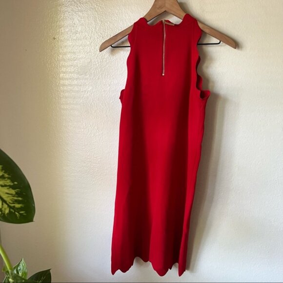 Ted Baker | Rianori Scalloped Trim Shift Dress - Picture 5 of 8